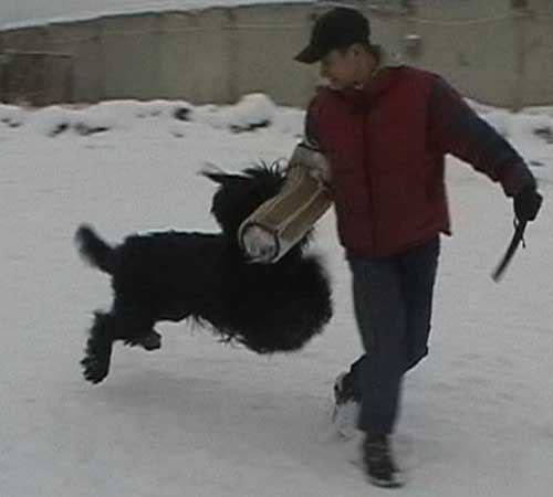 + Euripidwork01.jpg +