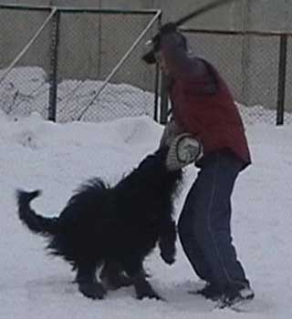 + Euripidwork02.jpg +