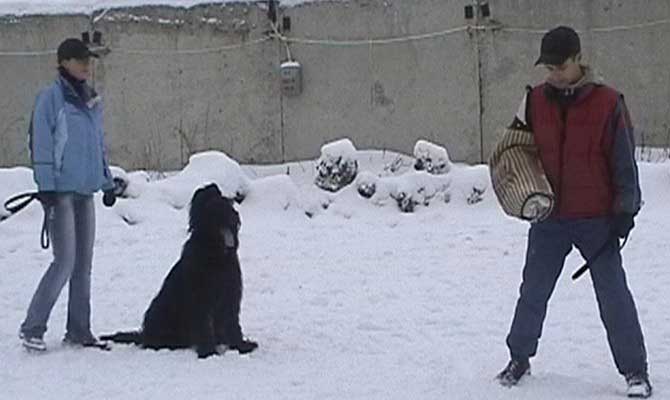 + Euripidwork03.jpg +