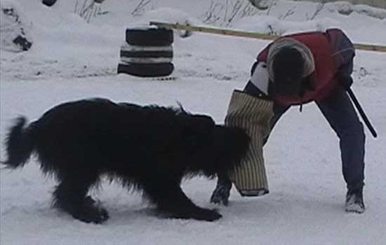 + Euripidwork04.jpg +