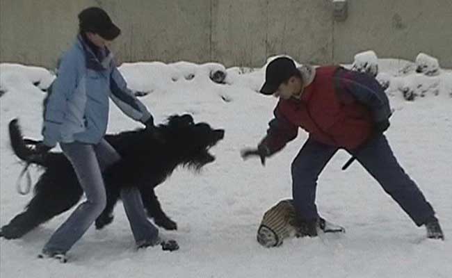 + Euripidwork05.jpg +