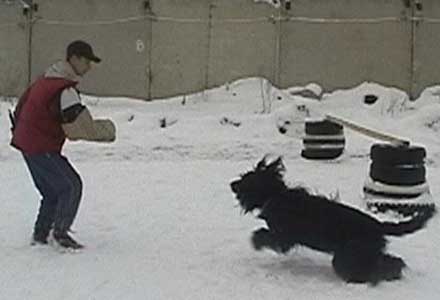 + Euripidwork07.jpg +