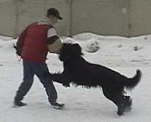 + Euripidwork08.jpg +