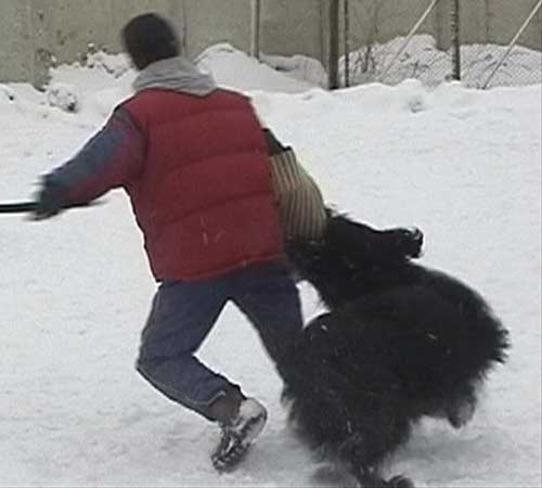 + Euripidwork09.jpg +