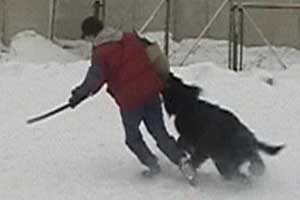 + Euripidwork10.jpg +