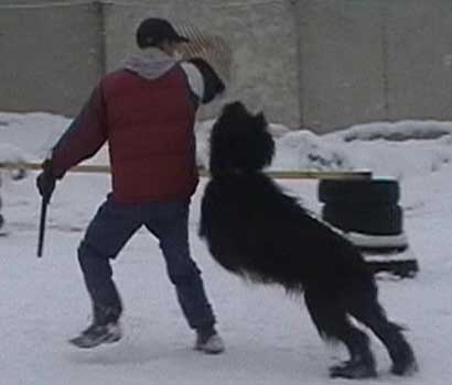 + Euripidwork11.jpg +