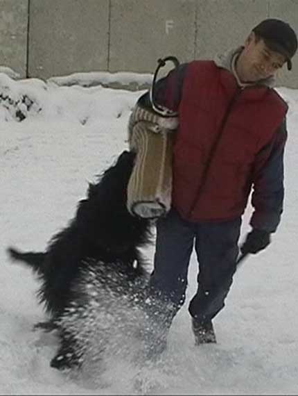 + Euripidwork12.jpg +