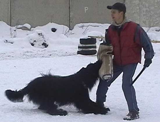 + Euripidwork14.jpg +