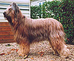    2002, : 