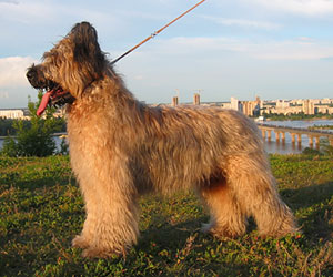 + JustenObrySanten.jpg +