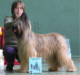 + KamelottaShM.jpg +