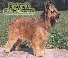 + KasiteritWuitensnet.jpg +