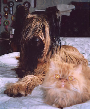 + KonfuzijMonika1.jpg +