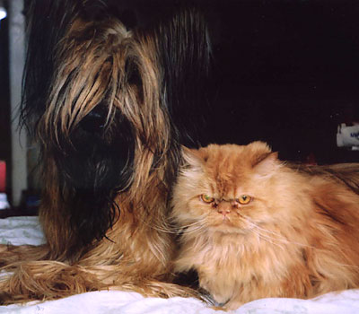 + KonfuzijMonika2.jpg +