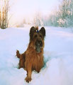 Moa, 9.02.04, oo: Ta, 278x400p, 23kb