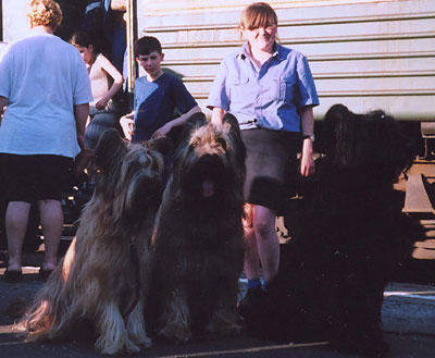 + MPGprovodnik.jpg +