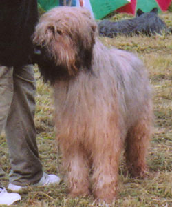 + NE2004bhisma.jpg +