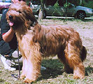 Cherazade, oo: Ta, 300x310p, 39kb