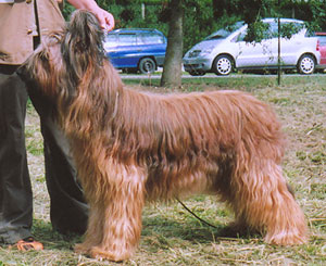 + NE2004mannequin.jpg +