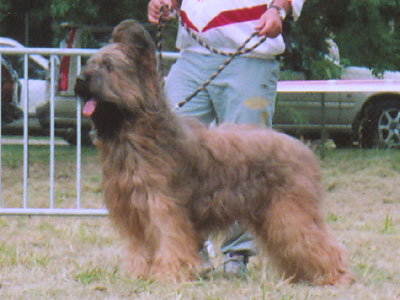 + NE2004sorbonne.jpg +