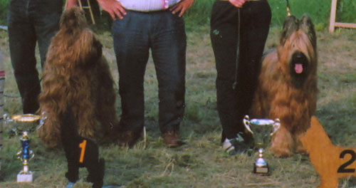 + NE2004spatenzenia.jpg +