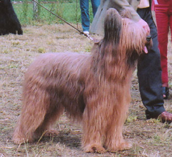 + NE2004zharive.jpg +