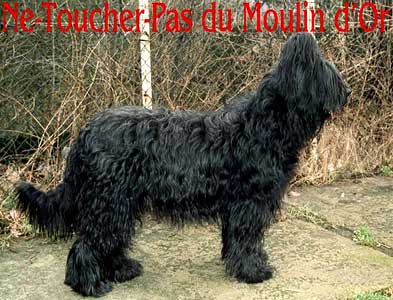 + Netoucherpas.jpg +