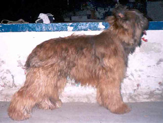 + ZikaObrySanten.jpg +