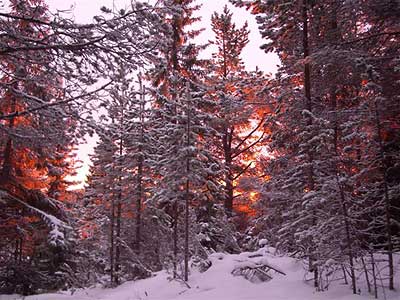 + muoartemiev03.jpg +