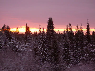 + muoartemiev06.jpg +