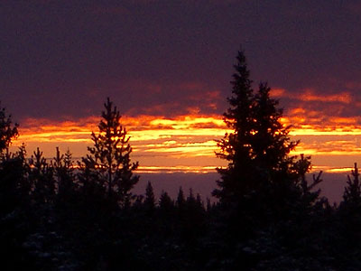 + muoartemiev08.jpg +