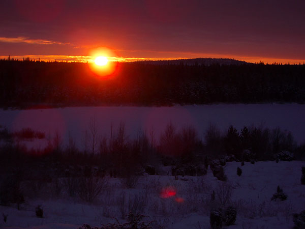 + muoartemiev09.jpg +