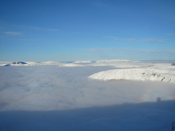 + muohibiny119.jpg +