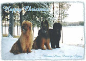 Arctic briards - Finland