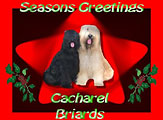Cacharel 2003
