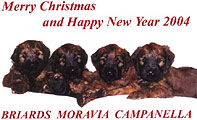 oravia Campanella 2003
