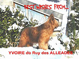 le Ruy des Alleades 2003