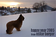 Sarka, Oskar Berger