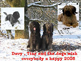 Tine & Davy
