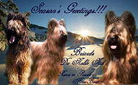 Ronni and Pascale Maes-Baert, le Noble Nid