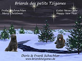 les Petits Tziganes - Germany