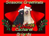 Cacharel - Australia
