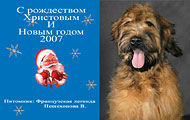 Frantsuzka Legenda - Russia