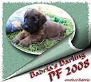 Badrias Darling - Cz