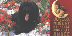 Blota Hunka des 4 Plumes Noires - Finland