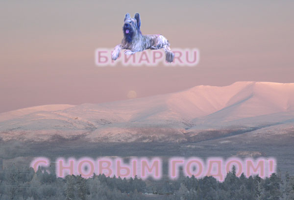   !