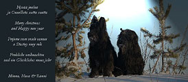 Black Death - Finland