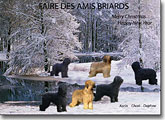 Faire des Amis - Netherlands