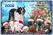 Giant Pets - Russia
