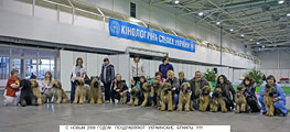 briards of Ukraine
